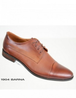 1904-barna